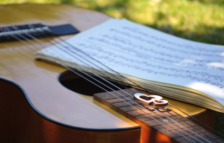 Beispielbild einer Gitarre in der Wiese